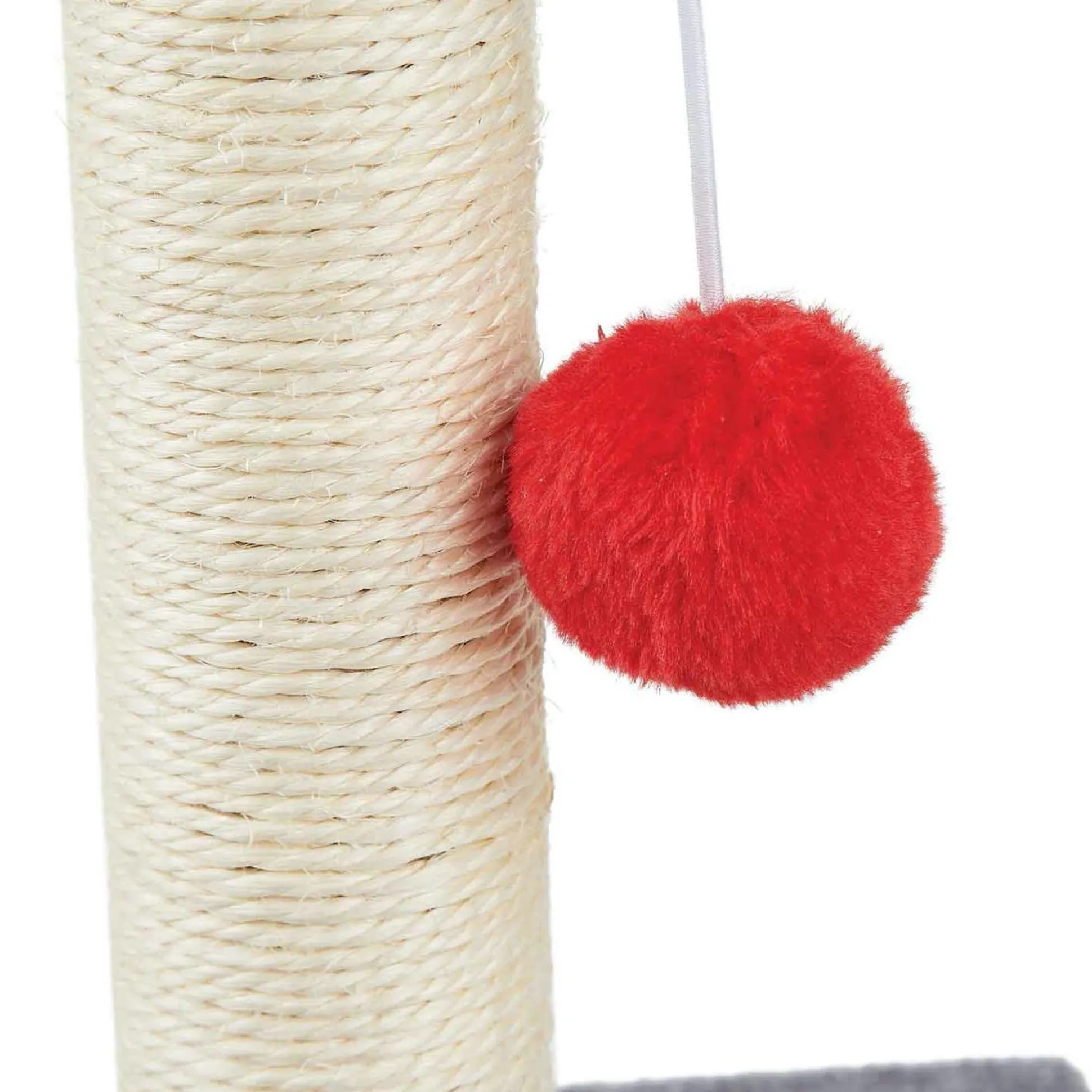 Scruffy's Scratching Post & Ball