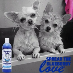 Showseason Original Blueberry Facial Shampoo