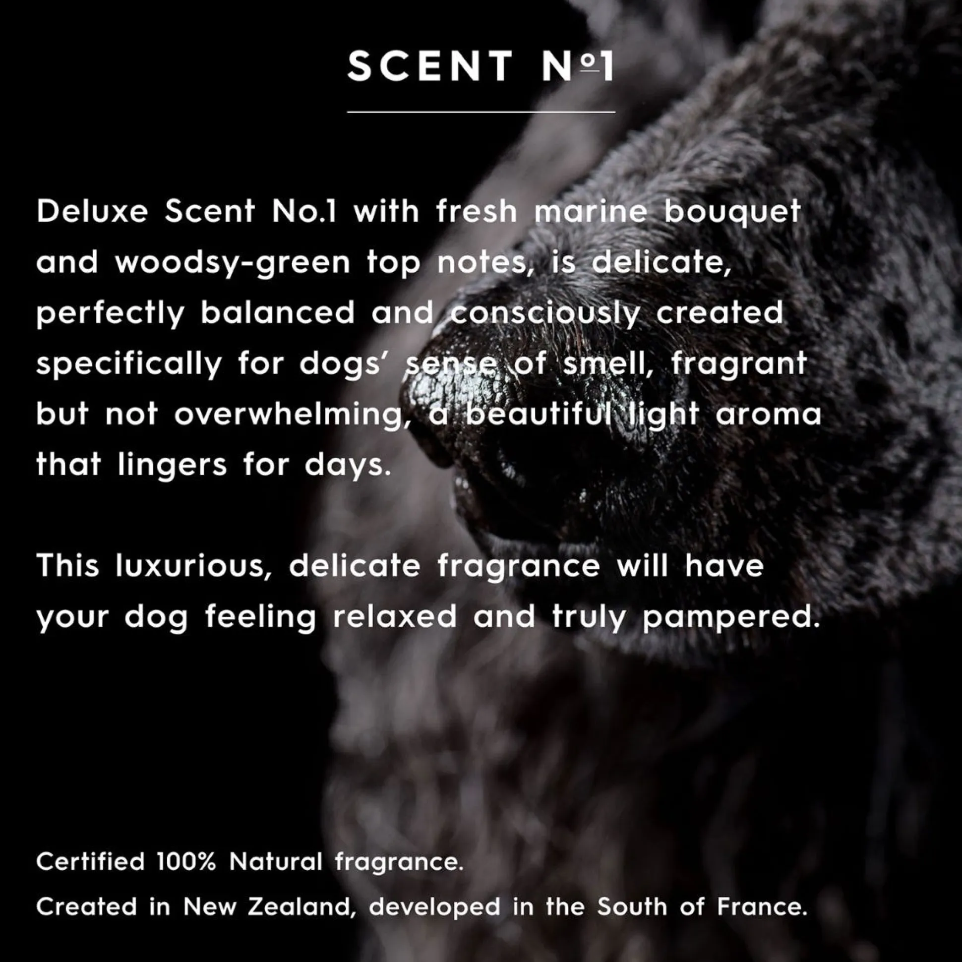 smith&burton Hydrating Shampoo Scent No. 1