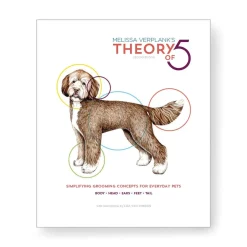 Theory of Five Book Second Edition by Melissa Verplank