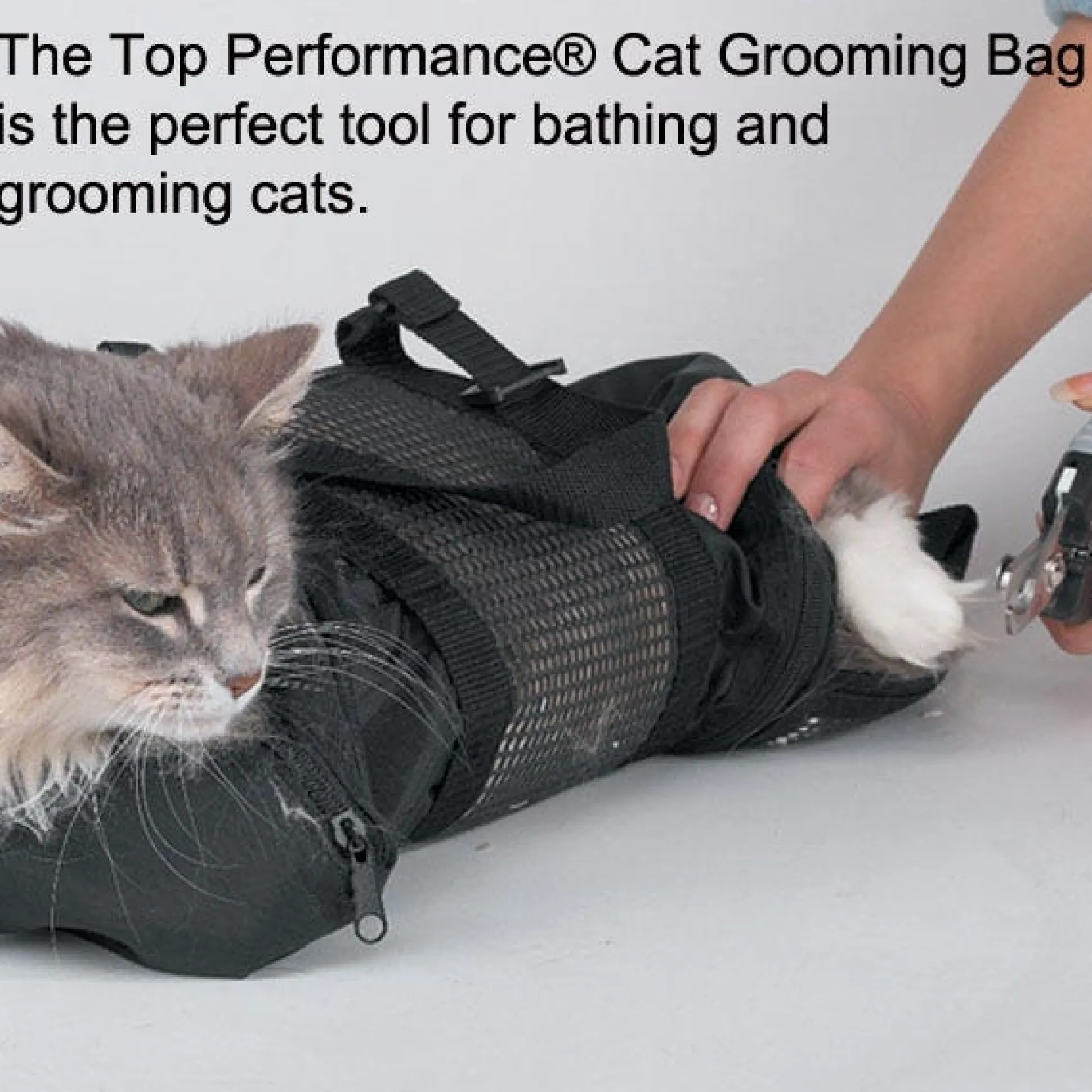 Top Performance Cat Grooming Bags