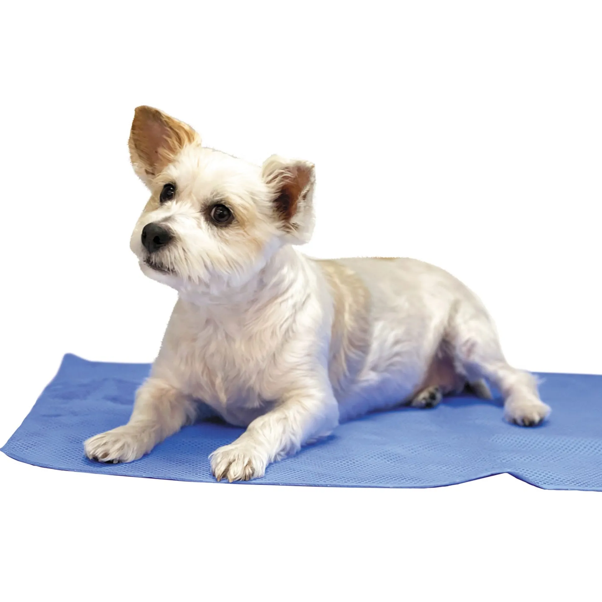 Top Performance Drying and Cooling Towel