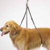 Top Performance Nylon Dog Grooming Table Harness 27In
