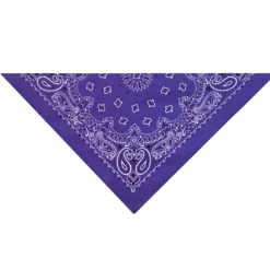 Top Performance Paisley Dog Bandanas