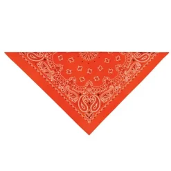 Top Performance Paisley Dog Bandanas