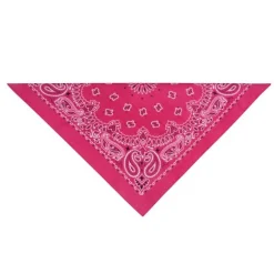 Top Performance Paisley Dog Bandanas