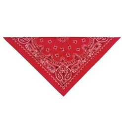 Top Performance Paisley Dog Bandanas