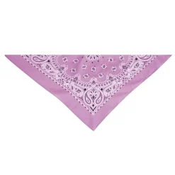 Top Performance Paisley Dog Bandanas