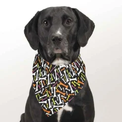 Top Performance Seasonal Bandanas