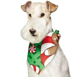 Top Performance Seasonal Bandanas