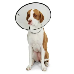 Total Pet Health Elizabethan Collars