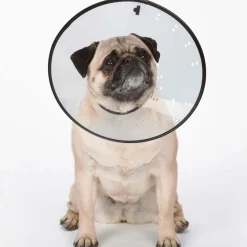 Total Pet Health Elizabethan Collars