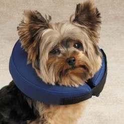 Total Pet Health Inflatable Collars