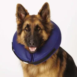 Total Pet Health Inflatable Collars