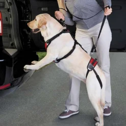 Total Pet Health Lift & Go Leads