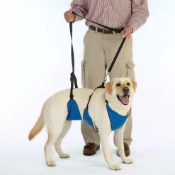 Total Pet Health Lift & Lead 4 in 1