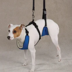Total Pet Health Lift & Lead 4 in 1
