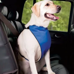 Total Pet Health Lift & Lead 4 in 1