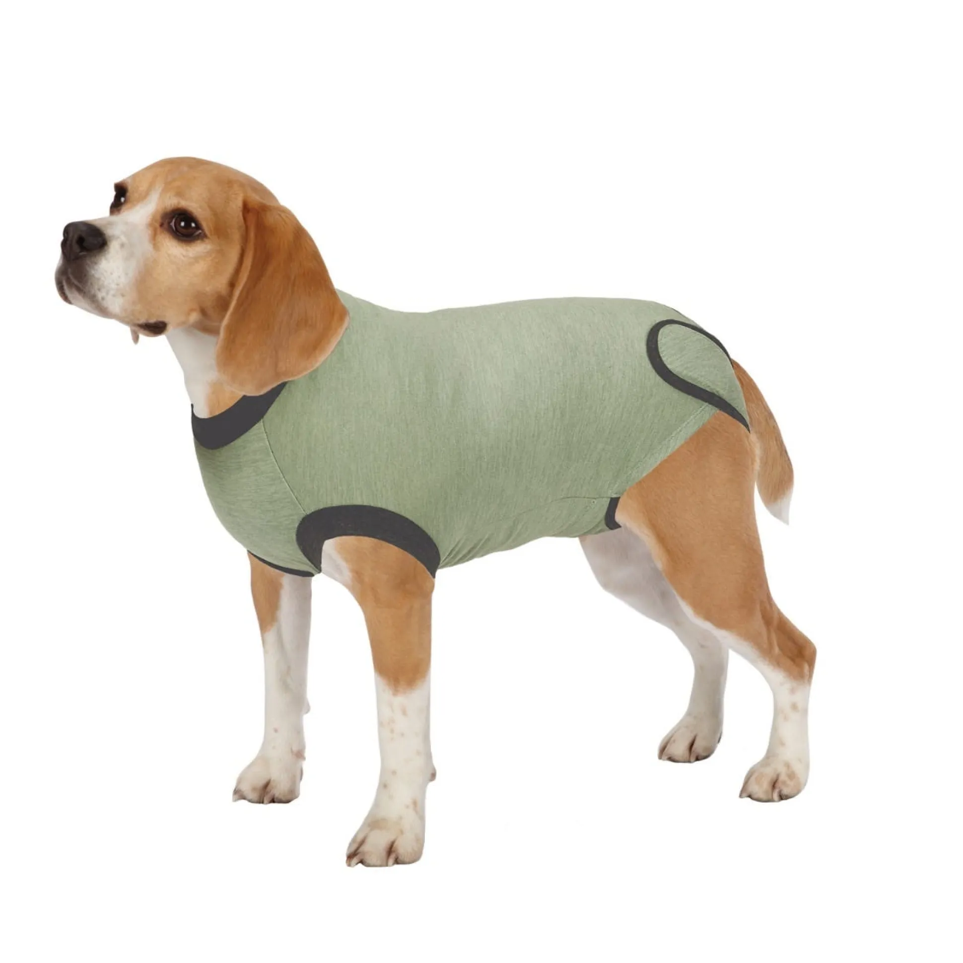 Total Pet Health Recovery Suits