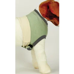 Total Pet Health Recovery Suits