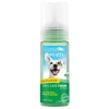 TropiClean Fresh Breath Oral Care Foam