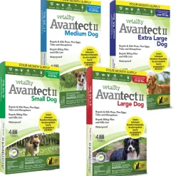 Vetality Avantect II Spot On for Dogs 4 Count
