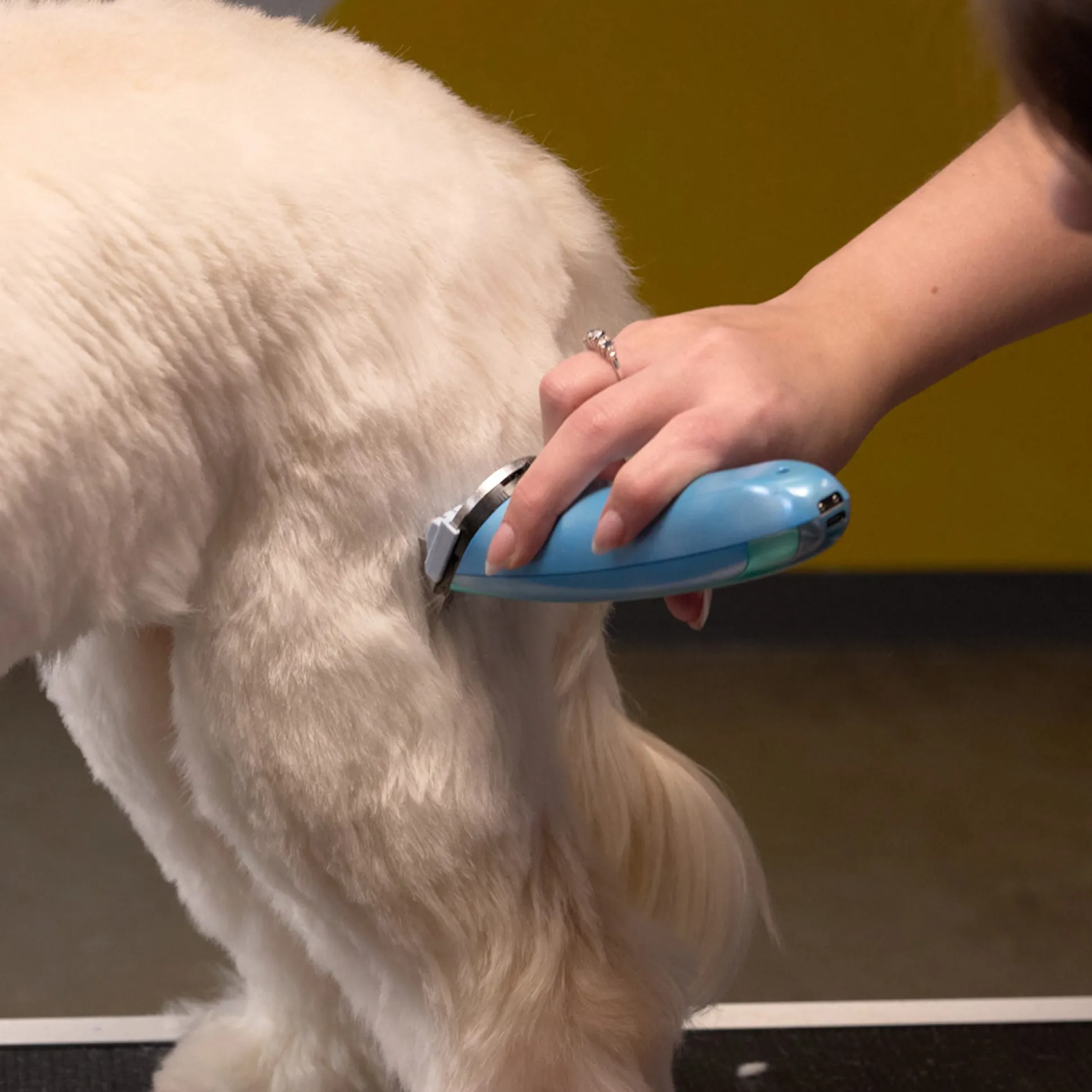 Wahl Motiva2 5-in-1 Cordless Clippers