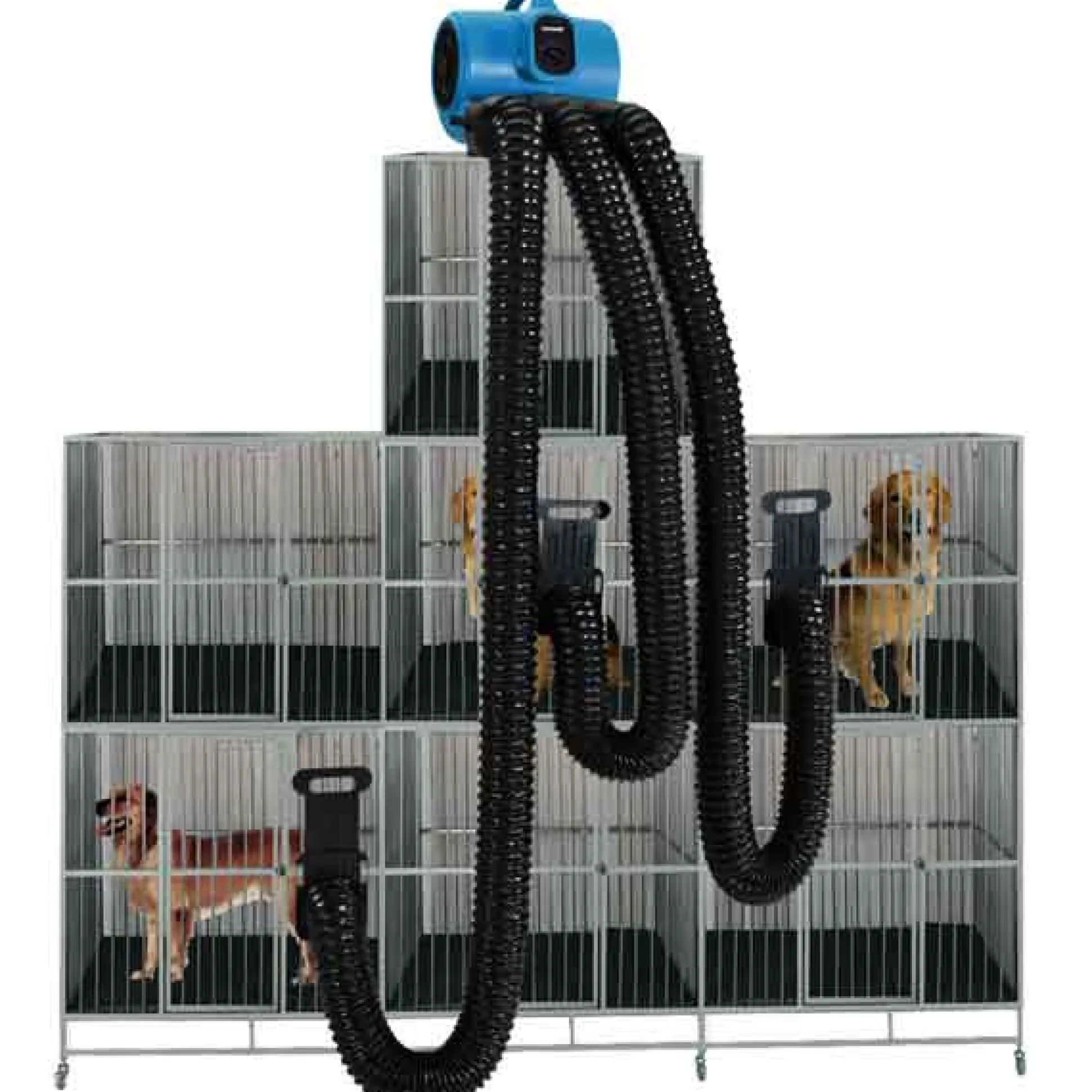 XPOWER X-430TF Cage Dog Dryer & Drying Kit Blue