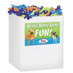 Zanies Bungee Geckos Fully Stocked Toy Display