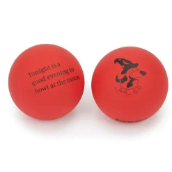 Zanies Fortune Ball Displays, 12 Pieces