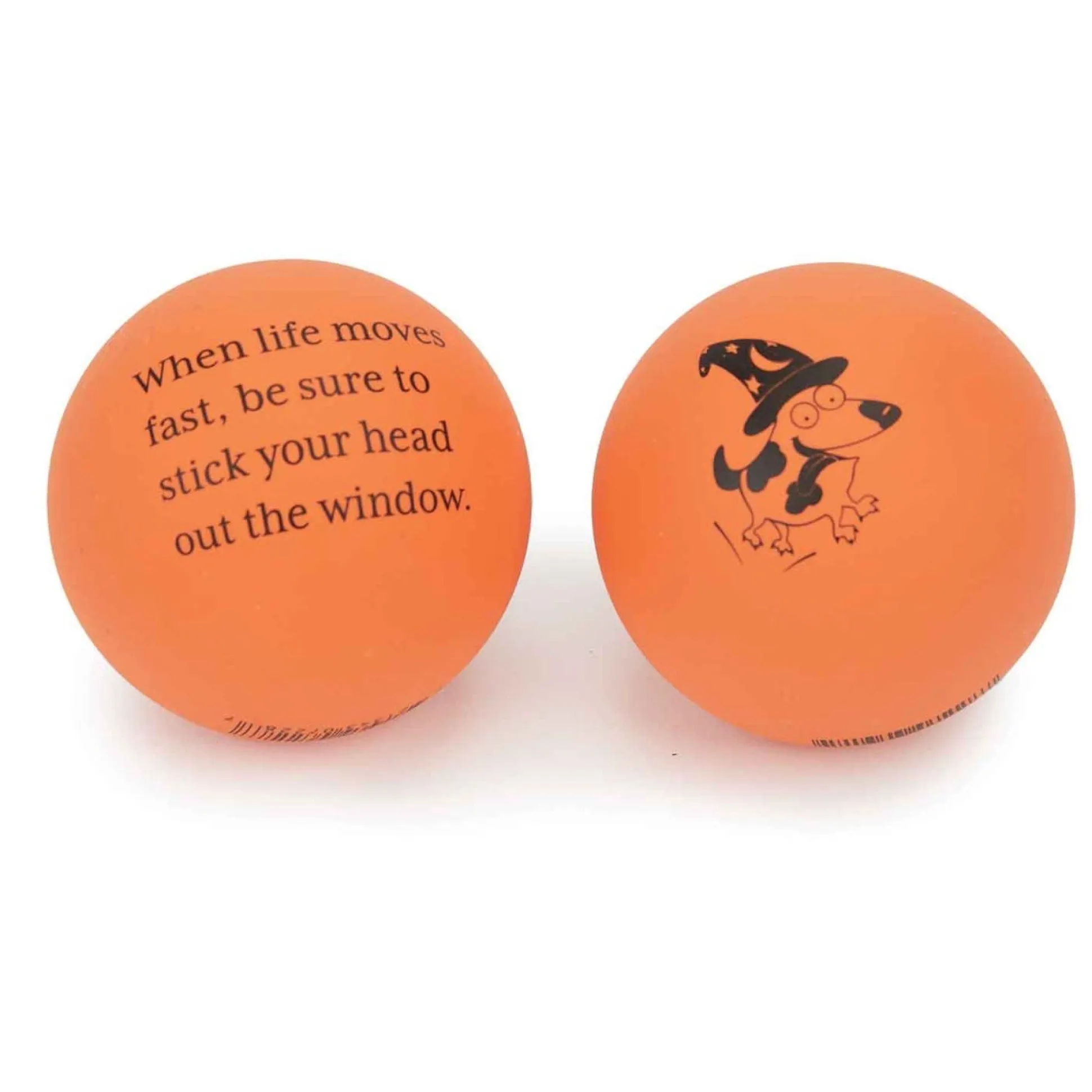Zanies Fortune Ball Displays, 12 Pieces