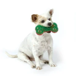 Zanies Holiday Squeaky Spike Bones