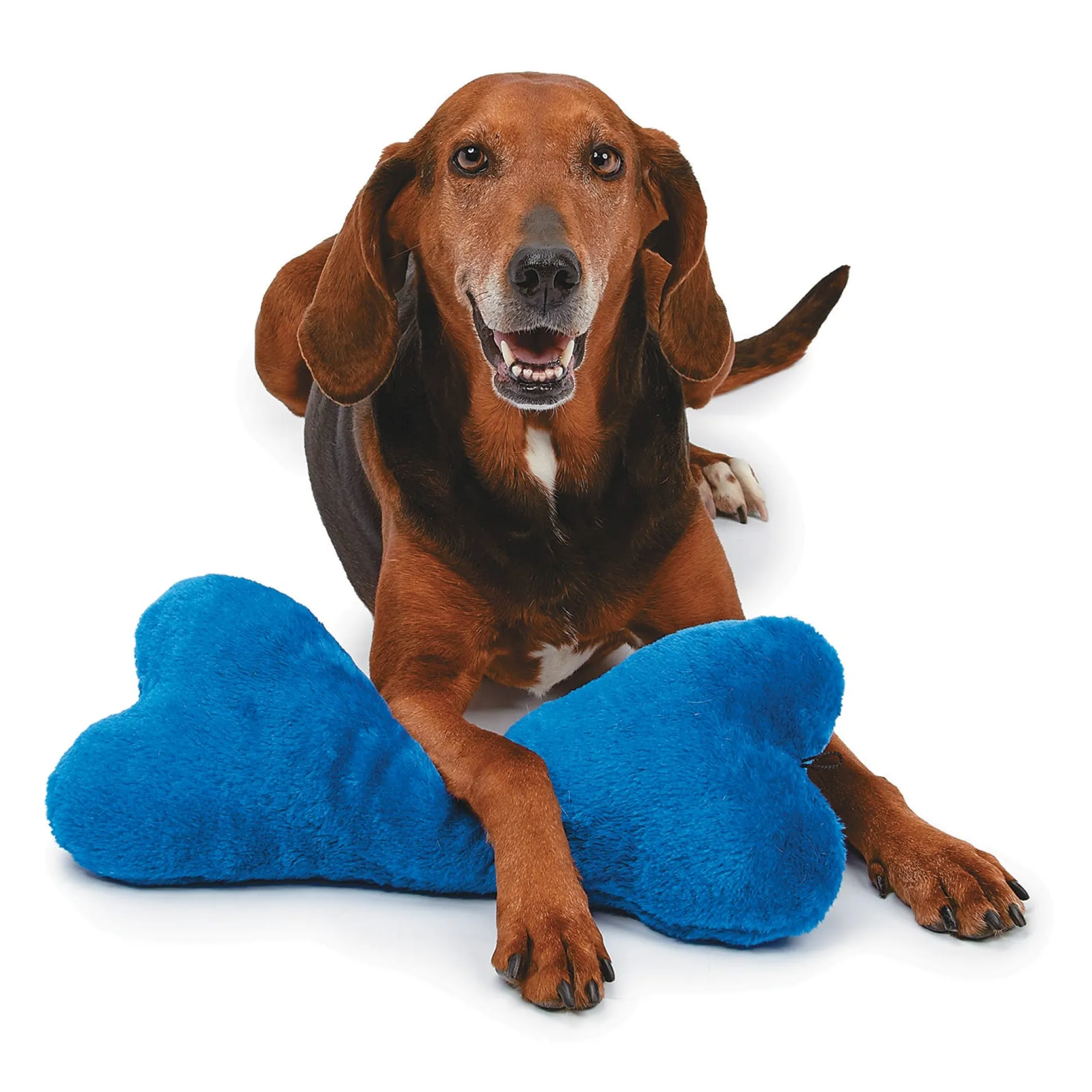 Zanies Mega Color Plush Bones
