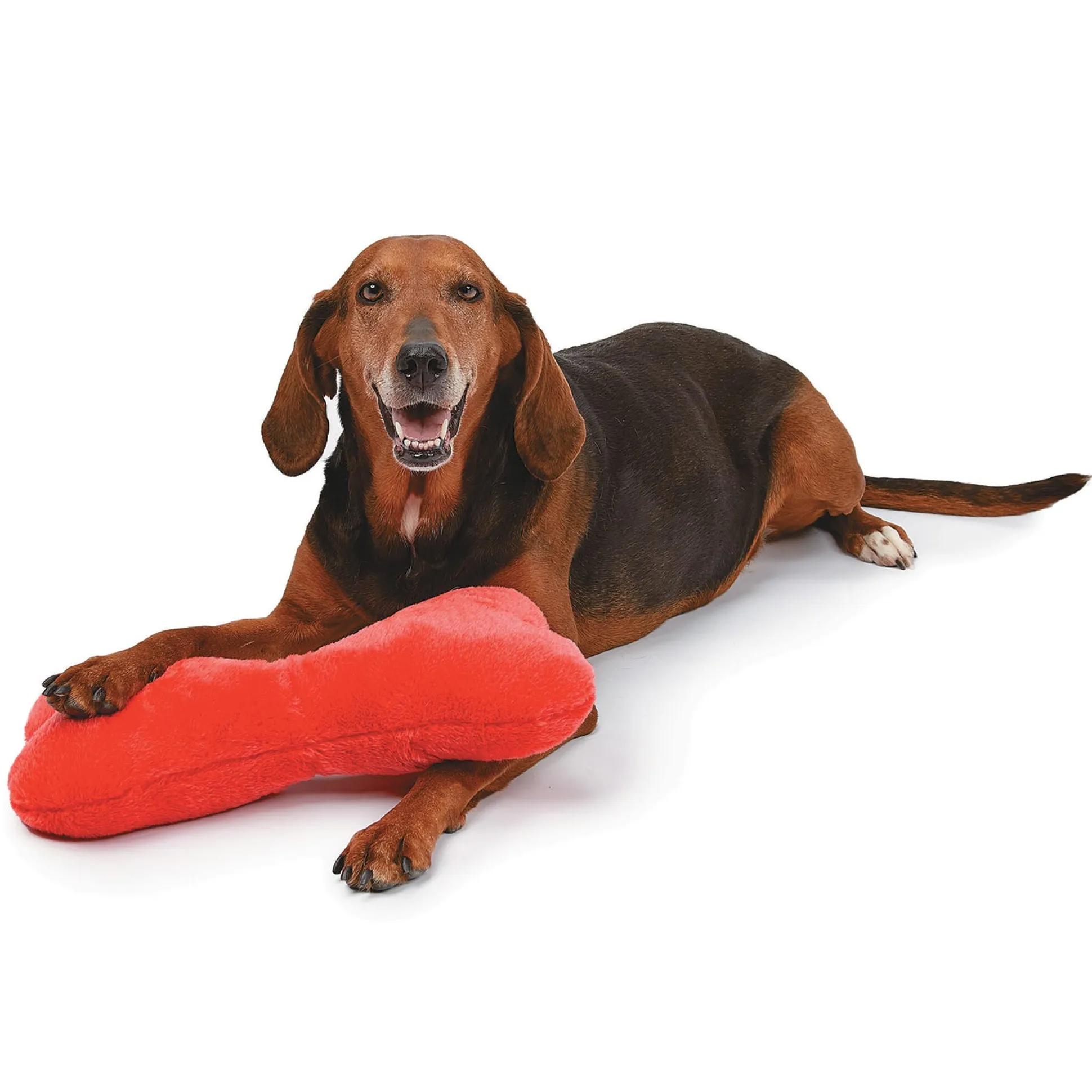 Zanies Mega Color Plush Bones