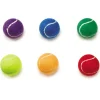 Zanies Rainbow Mini Tennis Ball 6pk